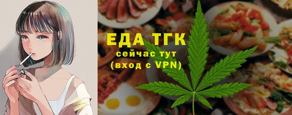 шишки Няндома