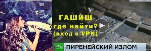 шишки Няндома