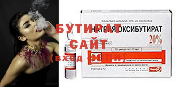 шишки Няндома