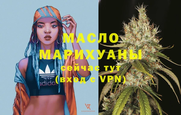 шишки Няндома