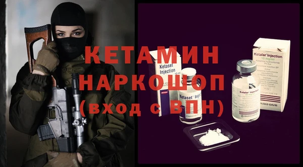шишки Няндома