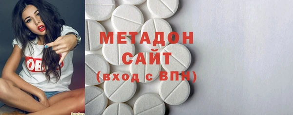 шишки Няндома