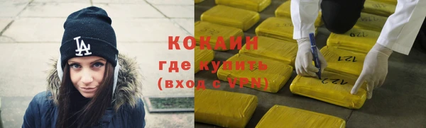 шишки Няндома