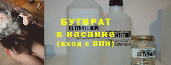 шишки Няндома