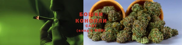 ПСИЛОЦИБИНОВЫЕ ГРИБЫ Нягань
