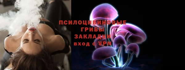 соль ск Нязепетровск