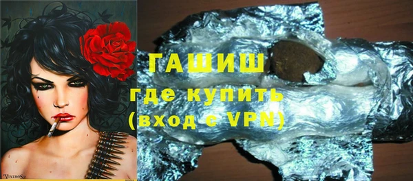 шишки Няндома