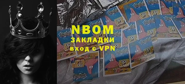 шишки Няндома