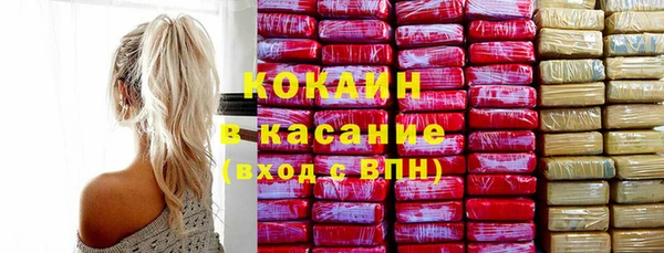 шишки Няндома