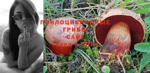 соль ск Нязепетровск