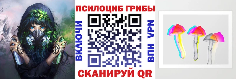 Псилоцибиновые грибы Psilocybe  кракен как зайти  Ивантеевка 