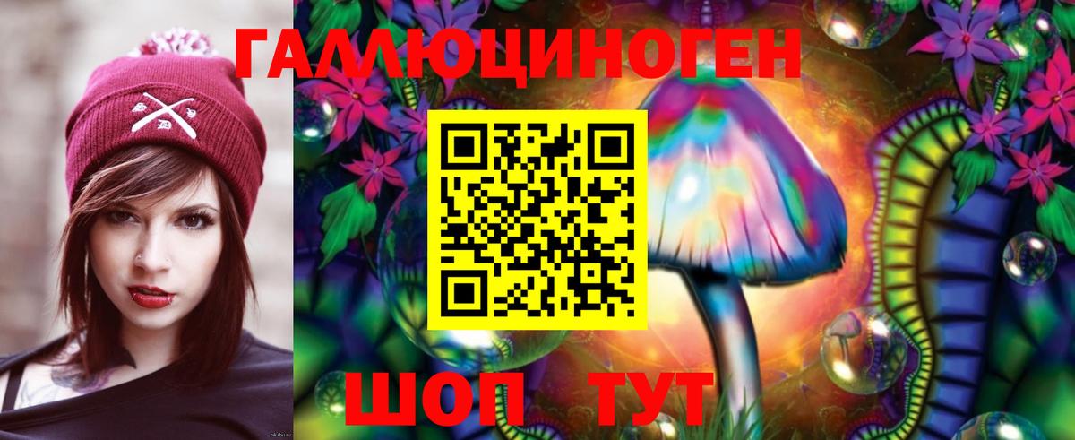 Псилоцибиновые грибы Psilocybe Ивантеевка