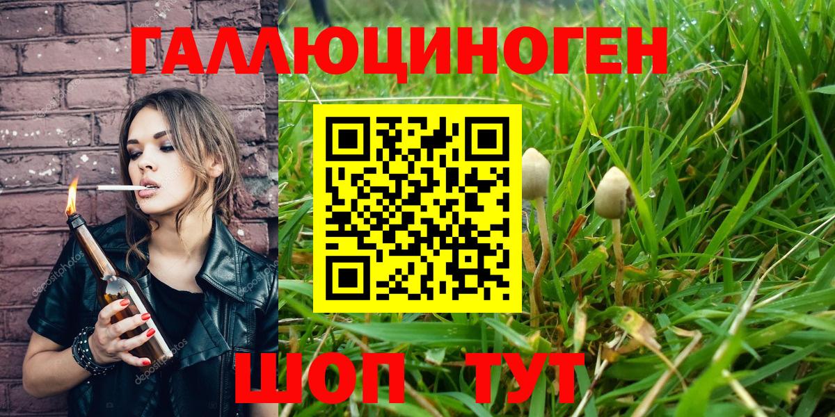 Ивантеевка  Псилоцибиновые грибы ЛСД  Вход с VPN 